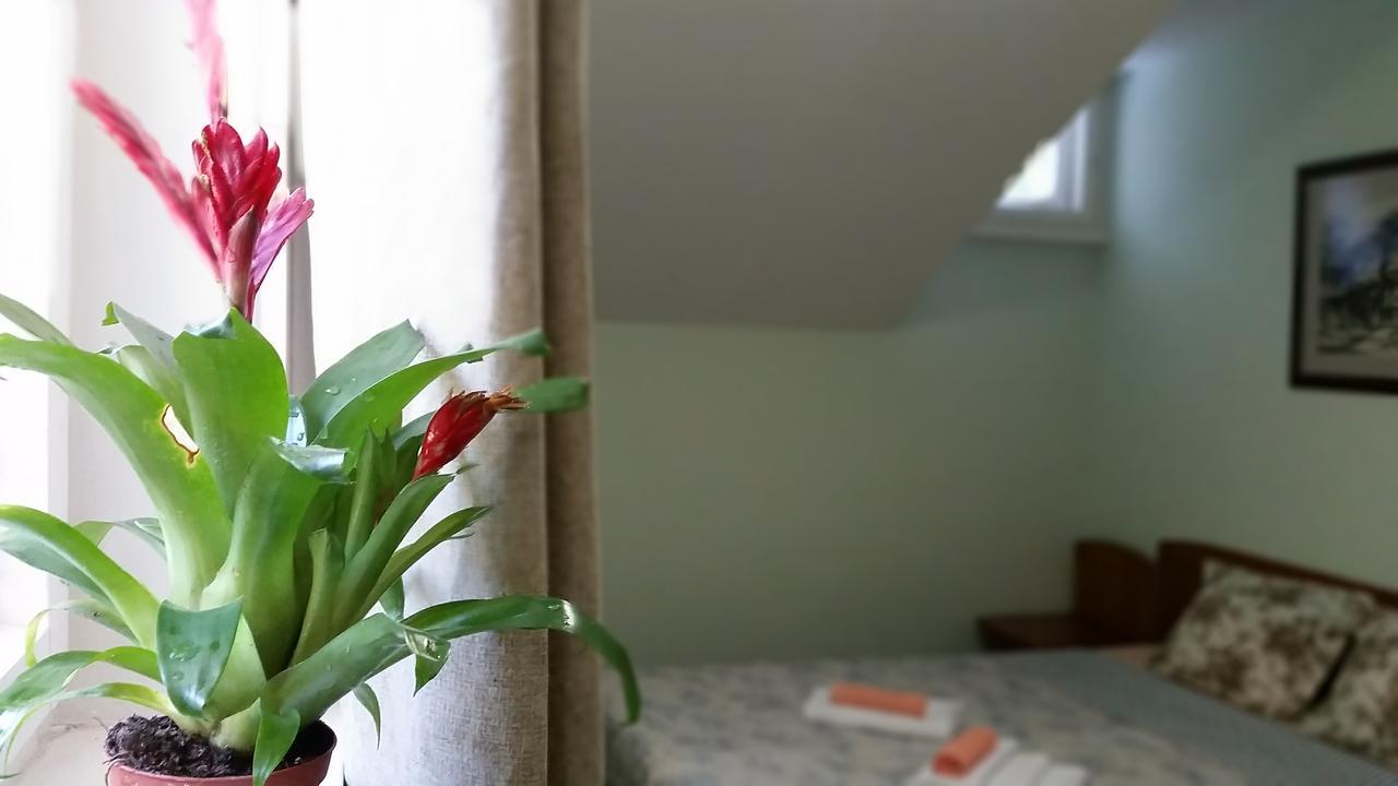 Boeritza Hotel Complex Vladaya 외부 사진