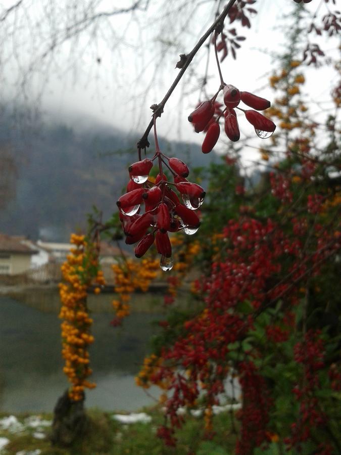 Boeritza Hotel Complex Vladaya 외부 사진